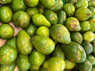 avocados in the market
