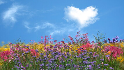 Mountain wild flowers blue sky and white clouds in heart shape wild field rainbow on blue sky  sunset  summer nature landscape
