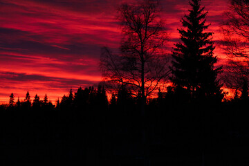 Sonnenuntergang in Schweden im Winter