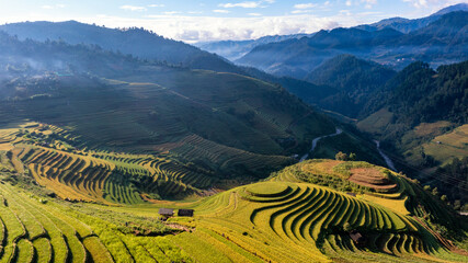 Fototapeta premium Rice fields on terraced prepare the harvest at Northwest Vietnam.