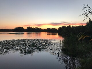 Sunset over the lake in summer