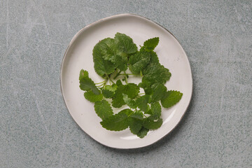 Freshly harvested Lemon balm leaves on white porcelain  plate.