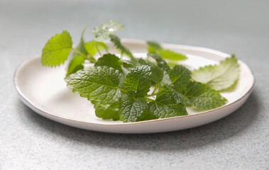 Freshly harvested Lemon balm leaves on white porcelain  plate.