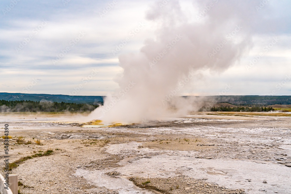 Canvas Prints Clepsydra geyser on the Fountain Paint Pot Trail in Yellowstone National Park.