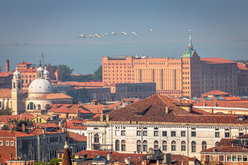 Flock of birds flying above Venice old town cityscape skyline rooftops, Italy