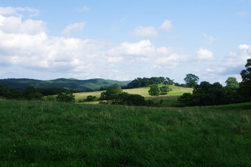 Fototapeta premium Scenery of a ranch with green and tree,ranch summer landscape 