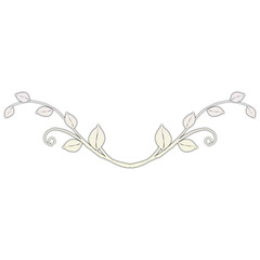 plant white circle frame