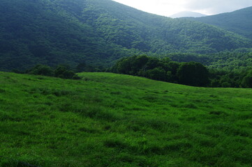 Scenery of a ranch with fresh green,ranch summer landscape,round hill landscape
