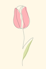 Tulip continuous one line icon. Isolated single flower silhouette. Modern minimal style linear logo. Floral illustration