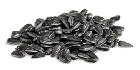 Nuts collection on a white background