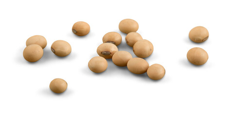the soya beans on white background