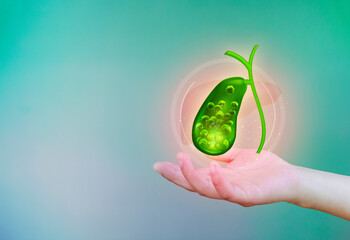 Gallbladder with stone. Care and treatment gallstones, cholecystitis, surgical removal. modern...