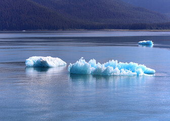 Ice drifting from the glazer in Tracy Arm Fjord