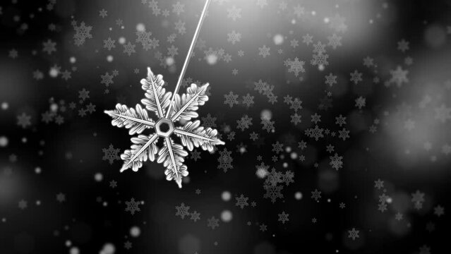 Snowflake Pendulum Black White 4K