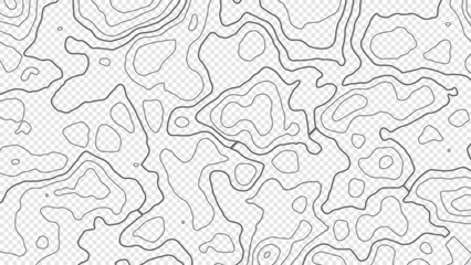Fototapeta premium Grey outline topographic contour map abstract tech transparent background. Vector illustrator