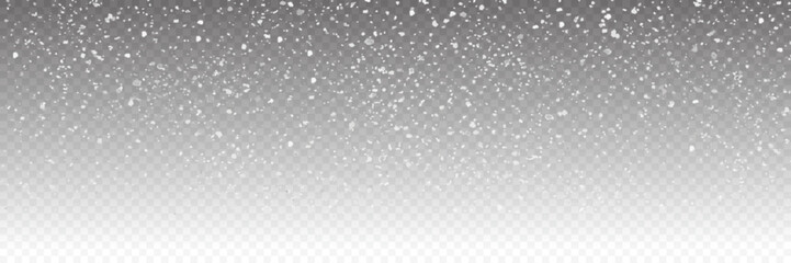 Panorama View Isolated Falling Snow Overlay