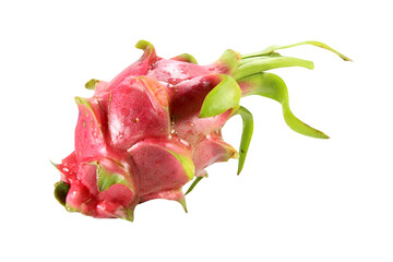 One fresh red dragon fruit isolated on white background.