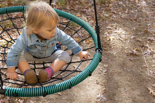 Two year old looks at the ground nervously as she rides on a saucer style rope swing outdoors; fall day with leaves on ground