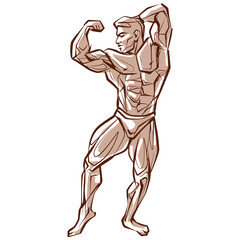 Fitness men posing. Muscular man stands, rippling athlete, sprinter. Vector drawing
