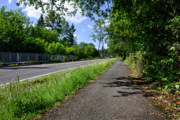 Fototapeta na wymiar Asphalt walking path between a residential street and a forest woodland 