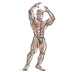 Fitness men posing. Muscular man stands, rippling athlete, sprinter. Vector drawing