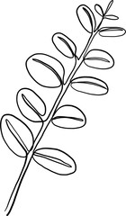 simplicity floral freehand continuous line drawing