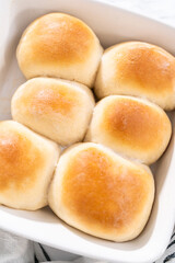 Dinner rolls