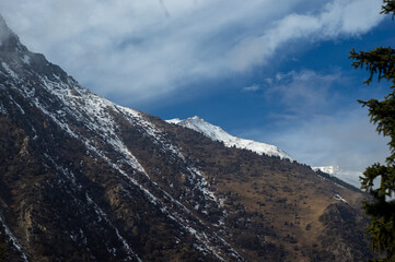 Ala-Archa river wooded mountain gorge