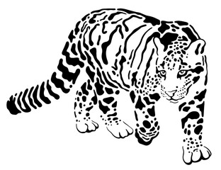 walking clouded leopard vector illustration black and white