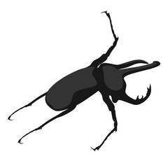 Great horn beetle or megasoma actaeo vector on white background. This insect is native to South America. Black beetle design.
