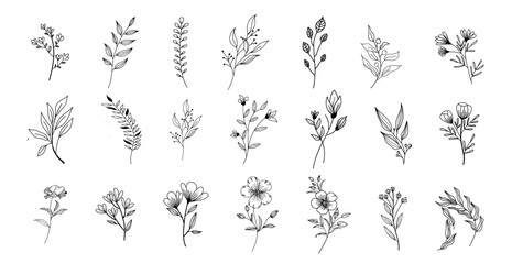 Hand drawn of vector vintage flowers elements isolated on white background.