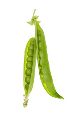 Peas and Pods with Path