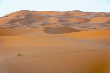 Fototapeta na wymiar Wüste Erg Chebbi, Merzouga, Marokko, Afrik