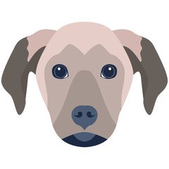 Premium flat icon design of dog 