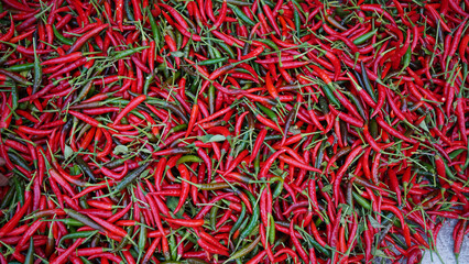 Hot chilli peppers pattern texture background. Close up background landscape of hot chili peppers.