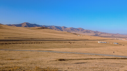 Fototapeta na wymiar Nature in Mongolia on a sunny day