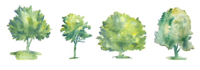 Set of hand drawn watercolor trees illustrations isolated on white. Collection of various hand painted plants