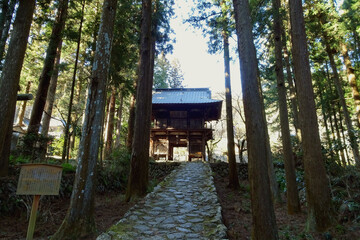龍恩寺の参道／日本埼玉県入間郡越生町