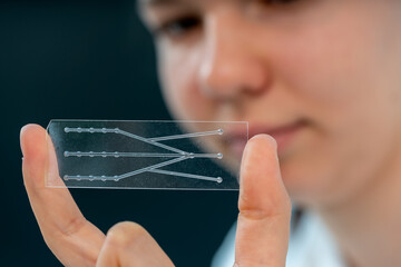 young female laboratory assistant holds a blank for a Lab ON Chip LOC microfluidics device in her hands, a device for simulating organs of living organisms