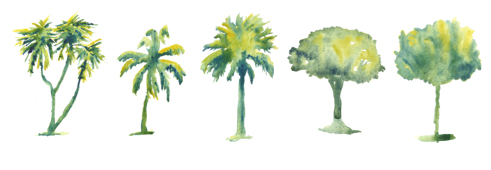 Set of hand drawn watercolor trees illustrations isolated on white. Collection of various hand painted plants