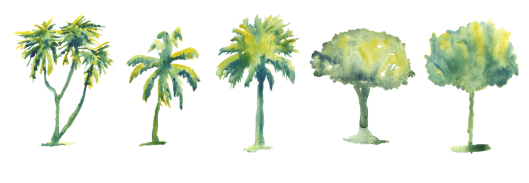 Set of hand drawn watercolor trees illustrations isolated on white. Collection of various hand painted plants