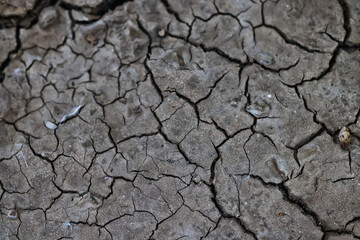 cracks on the ground desert texture background earth climate ecology