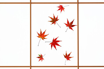 もみじの葉と障子に感じる秋