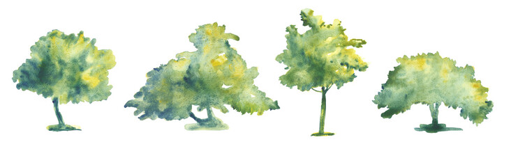 Set of hand drawn watercolor trees illustrations isolated on white. Collection of various hand painted plants