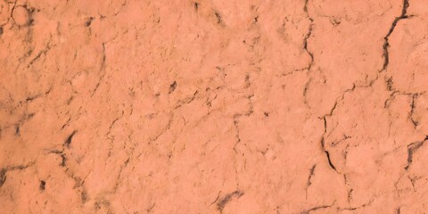 Wall texture detail in terracotta