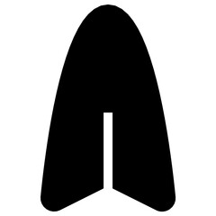 Icon Surfboard With Style Glyph