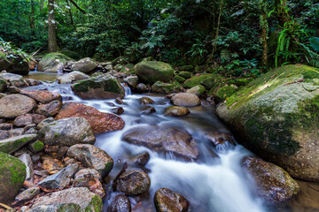 Naklejka na ściany i meble stream in the tropical forest