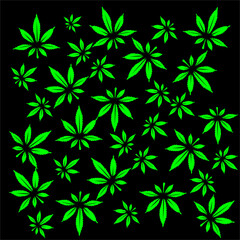marijuana leaf background vector design with a fresh green color and looks unique