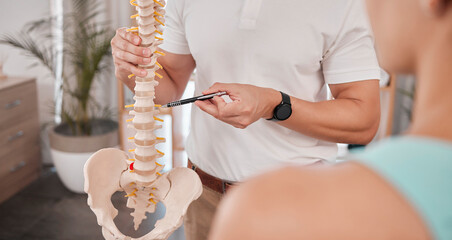 Spine model, healthcare and chiropractor with woman for consultation or treatment advice....