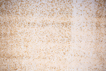 Texture of rusty iron, cracked paint on an old metal surface. Sheet of rusty metal with cracked and peeling paint, background for design with copy space.